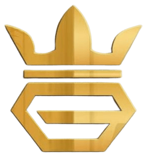 Kingsa Logo